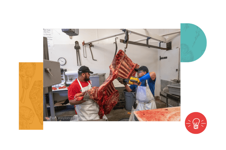 Butchery Learning Opportunities | Good Meat Project