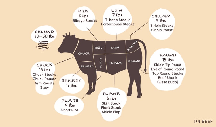 Beef Ration Meat How to Buy Beef in Bulk: Cuts, Cost, and Cooking | Good Meat Project