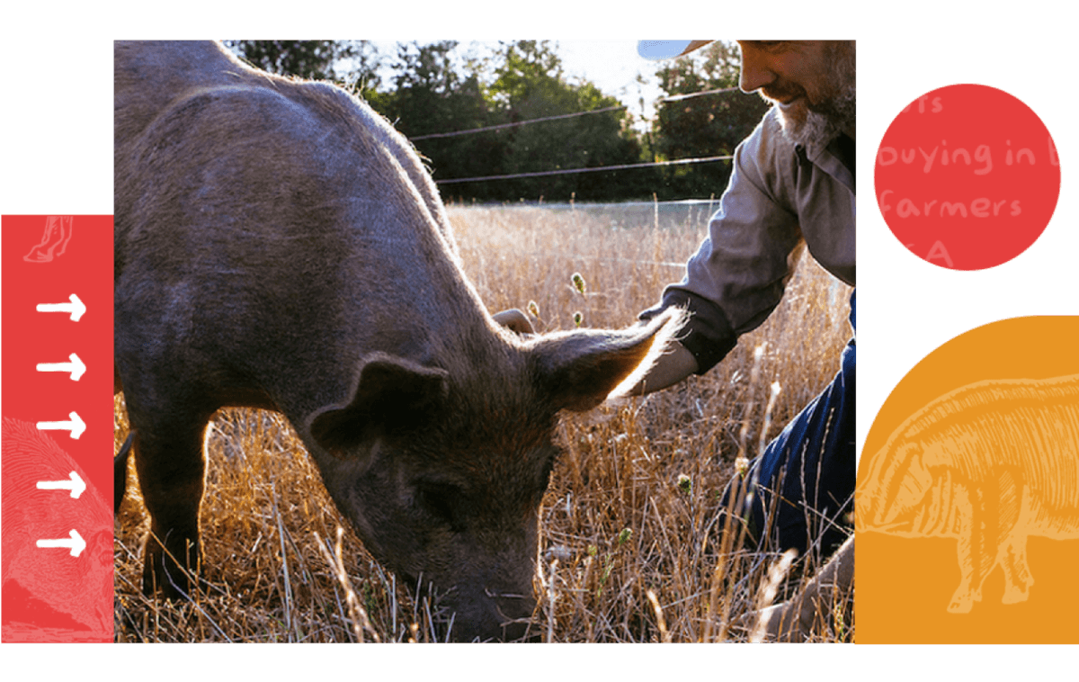 Good Meat Breakdown® | Good Meat Project